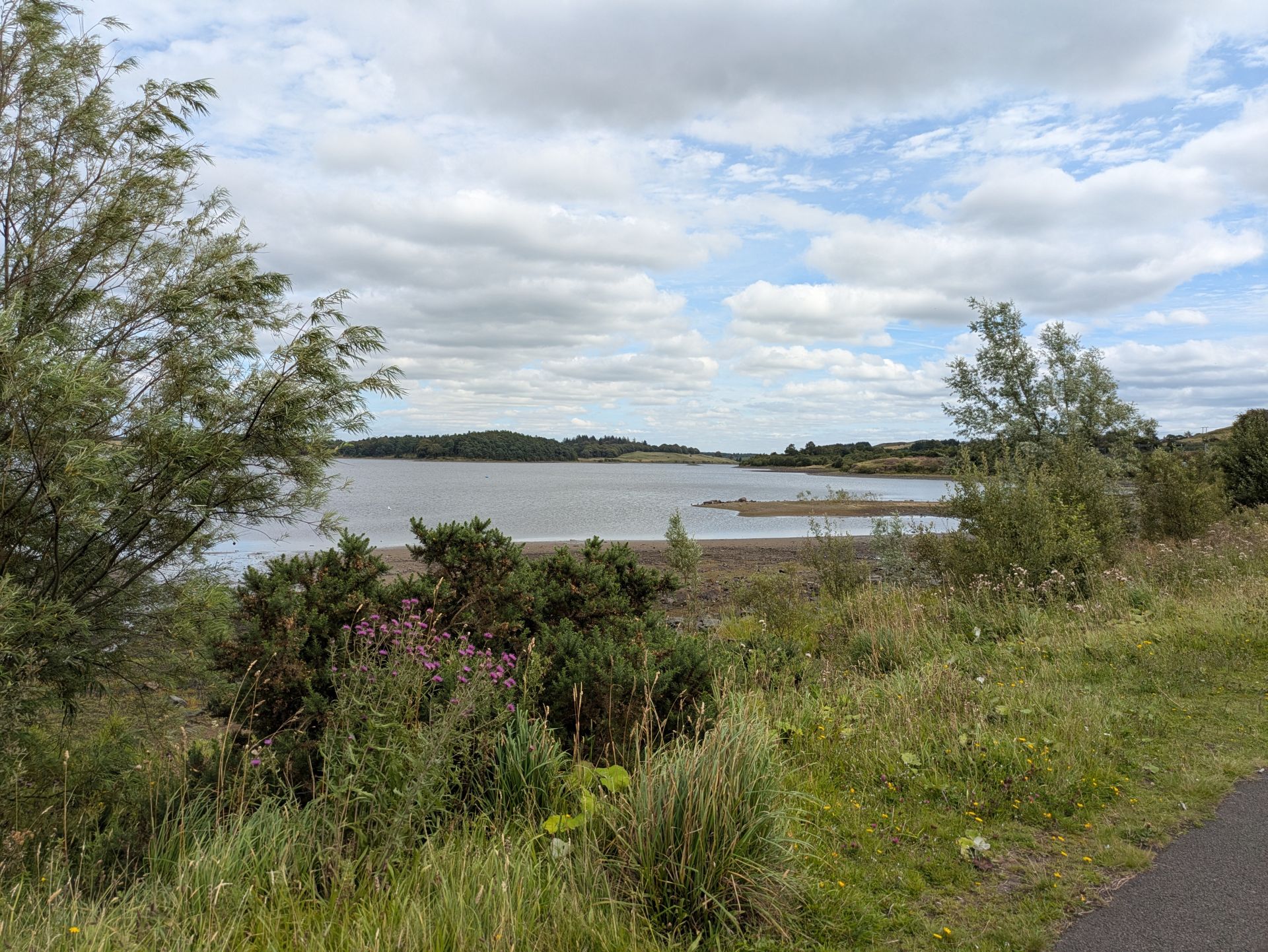 Hillend Loch with summer greenery in front